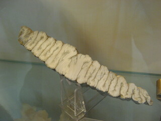 Polen/Kleinpolen (Malopolskie), Woiwodschaft/Groß Salze (Wielicki), Powiat/Groß Salze (Wieliczka)