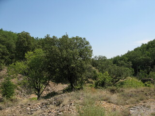 Frankreich/Occitanie (Okzitanien), Région/Gard, Département/Le Vigan, Arrondissement/Durfort-et-Saint-Martin-de-Sossenac/Durfort Mines