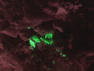 Deutschland/Baden-Württemberg/Freiburg, Bezirk/Rottweil, Landkreis/Schenkenzell, Gemeinde/Kaltbrunn, Ortsteil/Wittichen/Schmiedestollenhalde