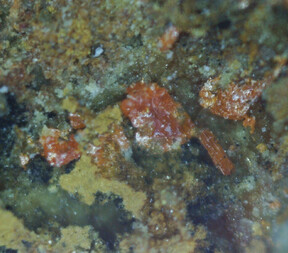 Deutschland/Sachsen/Zwickau, Landkreis/Callenberg