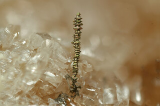 Deutschland/Bayern/Oberpfalz, Bezirk/Neumarkt in der Oberpfalz, Landkreis/Freystadt/Sulzkirchen