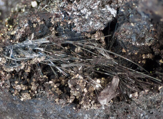 Bolivien/Oruro, Departamento/Poopó, Provinz/Poopó, Municipio/Mina San Francisco