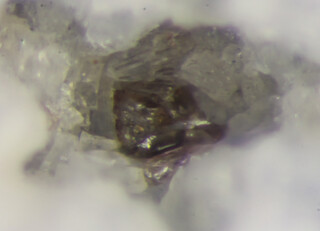 Bolivien/Cochabamba, Departamento/Ayopaya, Provinz/Cerro Sapo