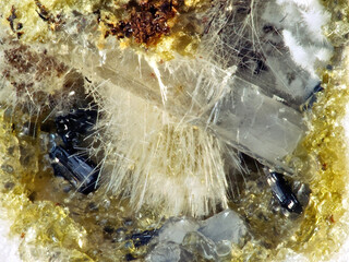 Deutschland/Rheinland-Pfalz/Mayen-Koblenz-Kreis/Mendig, Verbandsgemeinde/In den Dellen (Grube Zieglowski)