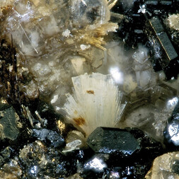 Deutschland/Rheinland-Pfalz/Mayen-Koblenz-Kreis/Mendig, Verbandsgemeinde/In den Dellen (Grube Zieglowski)