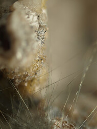 Deutschland/Nordrhein-Westfalen/Arnsberg, Bezirk/Unna, Kreis/Bergkamen/Zeche Monopol Schacht Grimberg 3 und 4