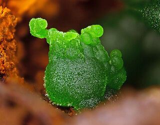 Griechenland/Attika (Attikí, Attica)/East Attica/Lavreotiki/Lavrion (Laurion), Bergbaudistrikt/Agios Konstantinos (Kamariza)