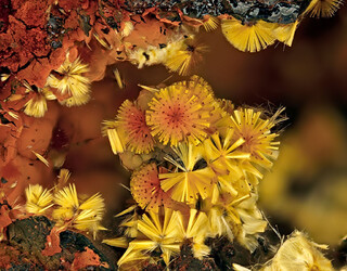 Deutschland/Bayern/Oberpfalz, Bezirk/Amberg-Sulzbach, Landkreis/Auerbach in der Oberpfalz, Stadtgemeinde/Grube Leonie