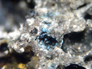 Deutschland/Sachsen-Anhalt/Mansfeld-Südharz, Landkreis/Mansfeld, Stadt/Mansfeld-Lutherstadt/Leimbach/Eckardthütte