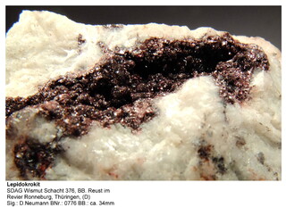 Deutschland/Thüringen/Greiz, Landkreis/Lagerstätte Ronneburg/Bergwerk Reust