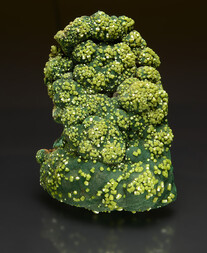 Australien/Northern Territory/Coomalie Shire, LGA/Batchelor/Rum Jungle/Brown's Prospect