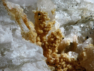 Österreich/Salzburg/Zell am See, Bezirk (Pinzgau)/Rauris, Marktgemeinde/Bucheben, Katastralgemeinde/Hüttwinkltal/Lohninger Bruch