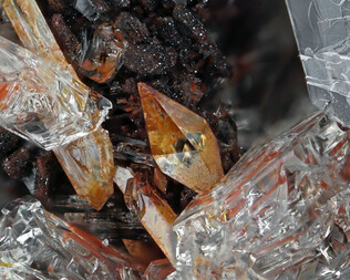 Deutschland/Rheinland-Pfalz/Mayen-Koblenz-Kreis/Mendig, Verbandsgemeinde/In den Dellen (Grube Zieglowski)