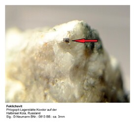 Russland/Nordwestrussland, Föderationskreis/Murmansk, Oblast/Kola-Halbinsel/Kovdor/Kovdor-Phlogopitlagerstätte (Kovdorslyuda)