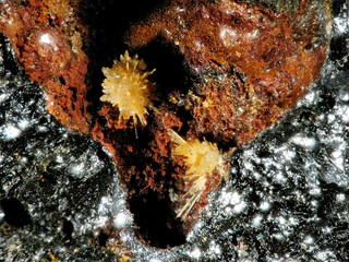 Österreich/Salzburg/Zell am See, Bezirk (Pinzgau)/Rauris, Marktgemeinde/Bucheben, Katastralgemeinde/Hüttwinkltal/Astenschmiede