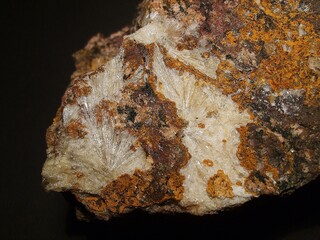 Deutschland/Sachsen/Meißen, Landkreis/Radebeul, Große Kreisstadt/Lößnitzgrund