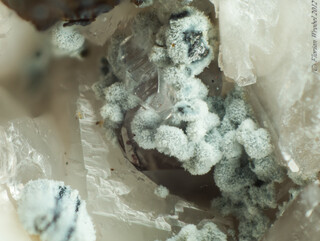 Italien/Piemont (Piemonte), Region/Verbano-Cusio-Ossola, Provinz/Baveno/Oltrefiume/Monte Camoscio/Montecatini-Steinbruch (Seula Mine)