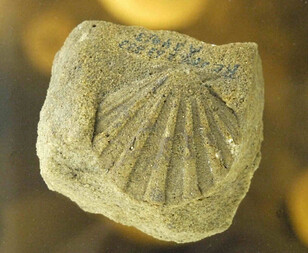 Deutschland/Nordrhein-Westfalen/Münster, Bezirk/Recklinghausen, Kreis/Haltern am See