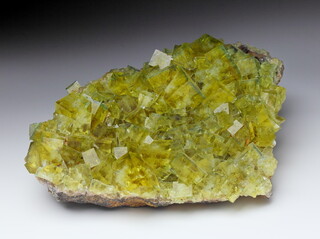 Deutschland/Sachsen/Erzgebirgskreis/Annaberg, Revier/Annaberg-Buchholz/Frohnau