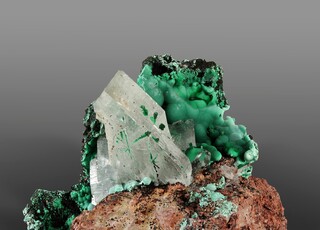 Demokratische Republik Kongo/Orientale, Provinz/Ituri, Provinz