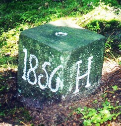 Deutschland/Thüringen/Ilm-Kreis/Geraberg/Arlesberg, Revier