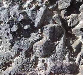 Deutschland/Thüringen/Ilm-Kreis/Geraberg/Arlesberg, Revier