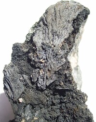 Deutschland/Thüringen/Ilm-Kreis/Geraberg/Arlesberg, Revier