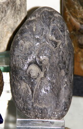 Deutschland/Sachsen/Bautzen, Landkreis/Lauta/Felder an der Landstraße 58 und Kieswerk Lauta