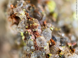 USA/Colorado/Montrose County/Jo Dandy (Hummer) Mine