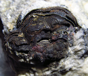 Deutschland/Baden-Württemberg/Freiburg, Bezirk/Lörrach, Landkreis/Aitern/Grube Tannenboden