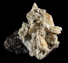 Spanien/Andalusien (Andalucía)/Almería, Provinz/Levante Almeriense, Comarca/Pulpí, Municipio/Pilar de Jaravia