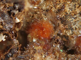 Australien/South Australia/Eyre Peninsula/Middleback Range/Iron Knob/Iron Monarch Opencut