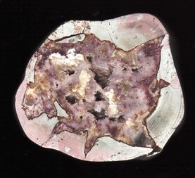 Deutschland/Baden-Württemberg/Freiburg, Bezirk/Ortenaukreis/Oppenau/Lierbachtal (Lierbach)