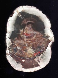 Deutschland/Baden-Württemberg/Freiburg, Bezirk/Ortenaukreis/Oppenau/Lierbachtal (Lierbach)