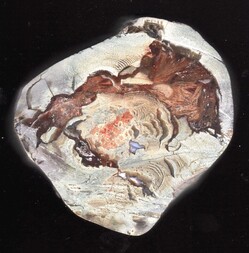 Deutschland/Baden-Württemberg/Freiburg, Bezirk/Ortenaukreis/Oppenau/Lierbachtal (Lierbach)