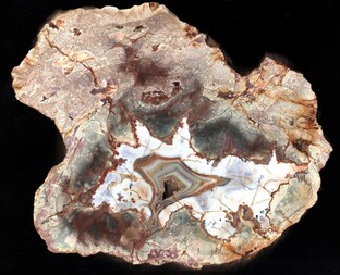 Deutschland/Baden-Württemberg/Freiburg, Bezirk/Ortenaukreis/Oppenau/Lierbachtal (Lierbach)