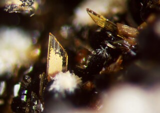 Deutschland/Bayern/Oberpfalz, Bezirk/Neustadt an der Waldnaab, Landkreis/Waidhaus, Gemeinde/Hagendorf, Ortsteil/Hagendorf-Süd (Grube Cornelia)