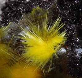 Deutschland/Baden-Württemberg/Freiburg, Bezirk/Waldshut, Landkreis/St. Blasien, Stadtgemeinde/Menzenschwand, Ortsteil/Krunkelbach