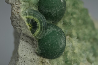 USA/Arkansas/Garland County/Avant/Dug Hill