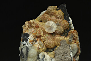 UK/England/Devon Co./North Devon/Filleigh/High Down Quarry