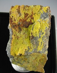 Deutschland/Sachsen/Erzgebirgskreis/Johanngeorgenstadt