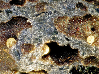 Deutschland/Rheinland-Pfalz/Mayen-Koblenz-Kreis/Mendig, Verbandsgemeinde/In den Dellen (Grube Zieglowski)