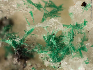 Österreich/Salzburg/Zell am See, Bezirk (Pinzgau)/Rauris, Marktgemeinde/Bucheben, Katastralgemeinde/Sonnblick/Nordwand-Blockfeld