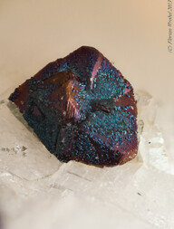 Österreich/Tirol/Kitzbühel, Bezirk/Oberndorf in Tirol, Gemeinde/HWK Diabassteinbruch