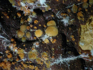 USA/Utah/Juab County/Tintic District/Eureka/Centennial Eureka Mine