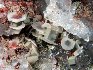 Deutschland/Sachsen/Erzgebirgskreis/Marienberg, Revier/Marienberg/Lauta/Schacht 139 (Abrahamhalde)