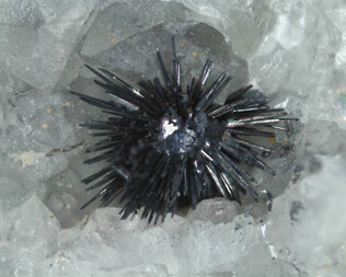 Deutschland/Bayern/Oberpfalz, Bezirk/Schwandorf, Landkreis/Wölsendorf, Revier/Lissenthan/Grube Hermine