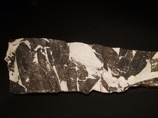 Deutschland/Sachsen/Sächsische Schweiz-Osterzgebirge, Landkreis/Freital/Königin Carolaschacht