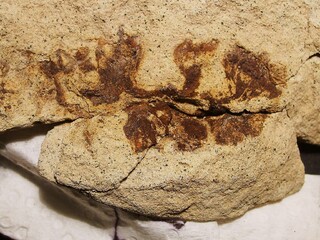 Deutschland/Sachsen/Dresden/Tunnel Dölzschen (A17)