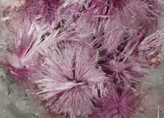 Deutschland/Hessen/Kassel, Bezirk/Hersfeld-Rotenburg, Landkreis/Richelsdorfer Gebirge/Nentershausen/Bauhaus